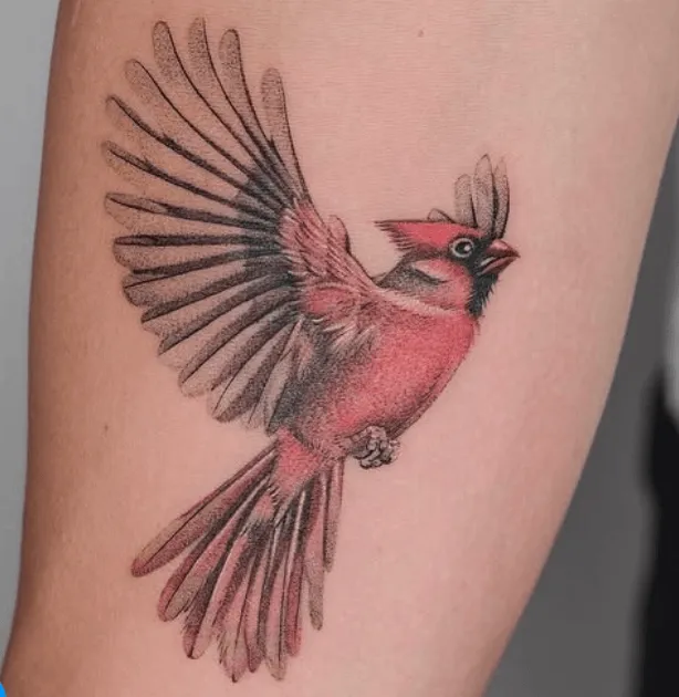 kaplan.tattooing